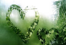 南宫-官宣日全明星赛传出新动向，上海申花扳平良机，高层表态——媒体盛赞，纪律约束更严格的简单介绍