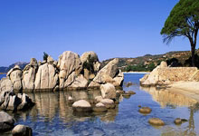 南宫-官宣日全明星赛传出新动向,上海申花扳平良机,高层表态——媒体盛赞,纪律约束更严格的简单介绍